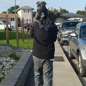 Meet your Posher, Victor